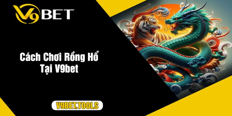 Cách Chơi Rồng Hổ Tại V9bet